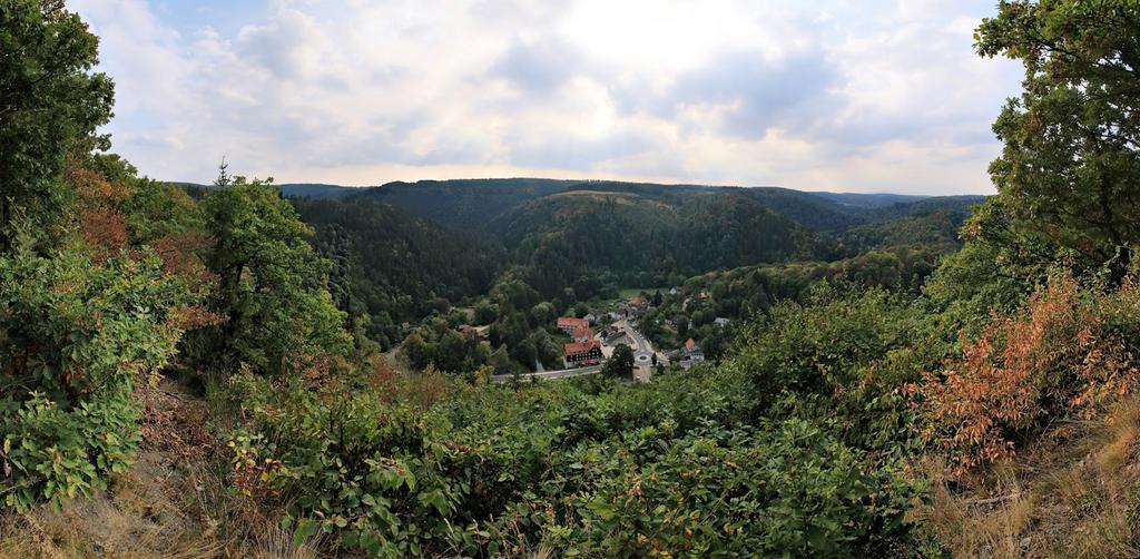 Apartment Treseburg Zur Bodehexe *